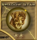 Shadow Star Award **
